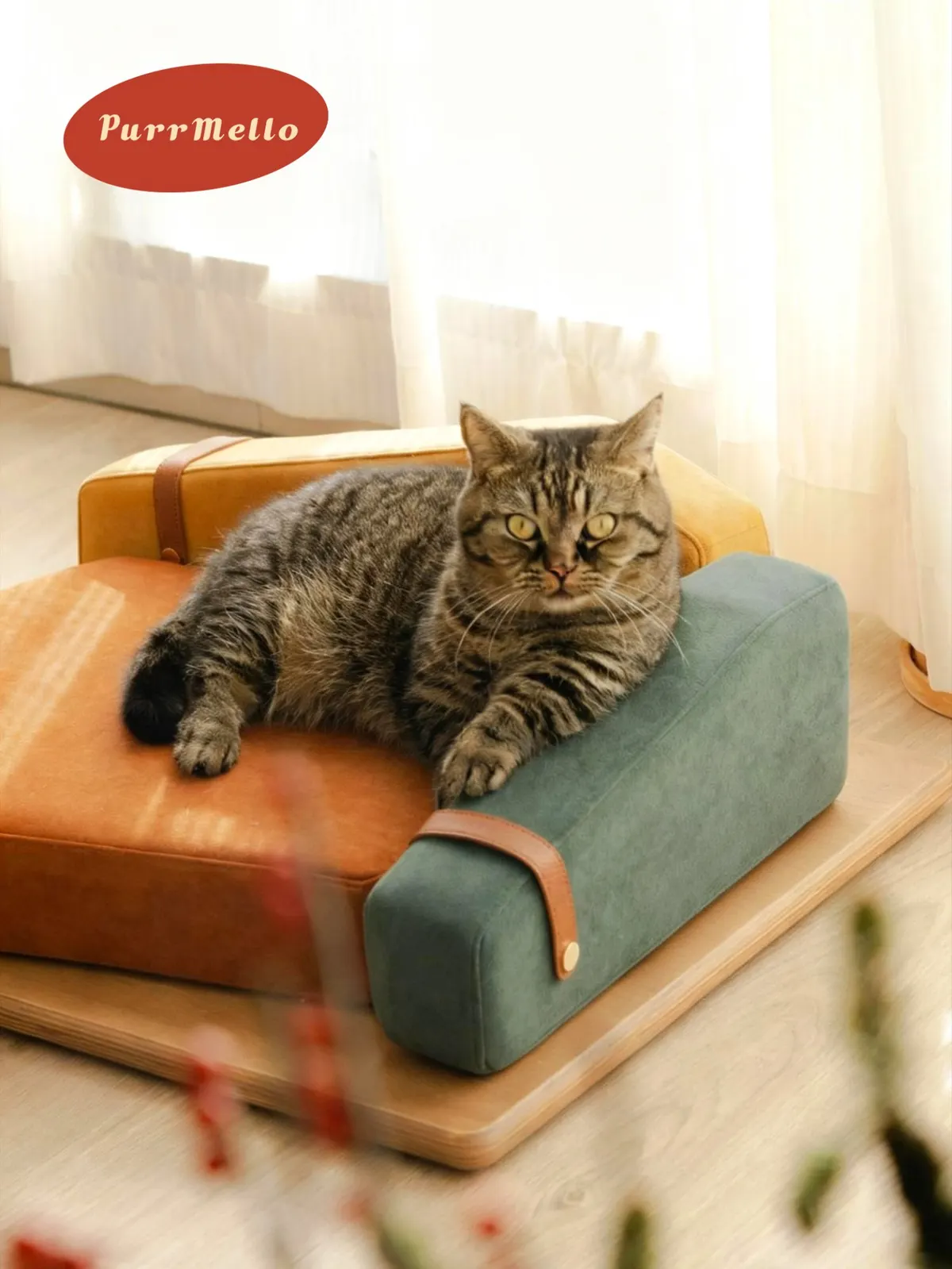 Pet sofa summit photo 1
