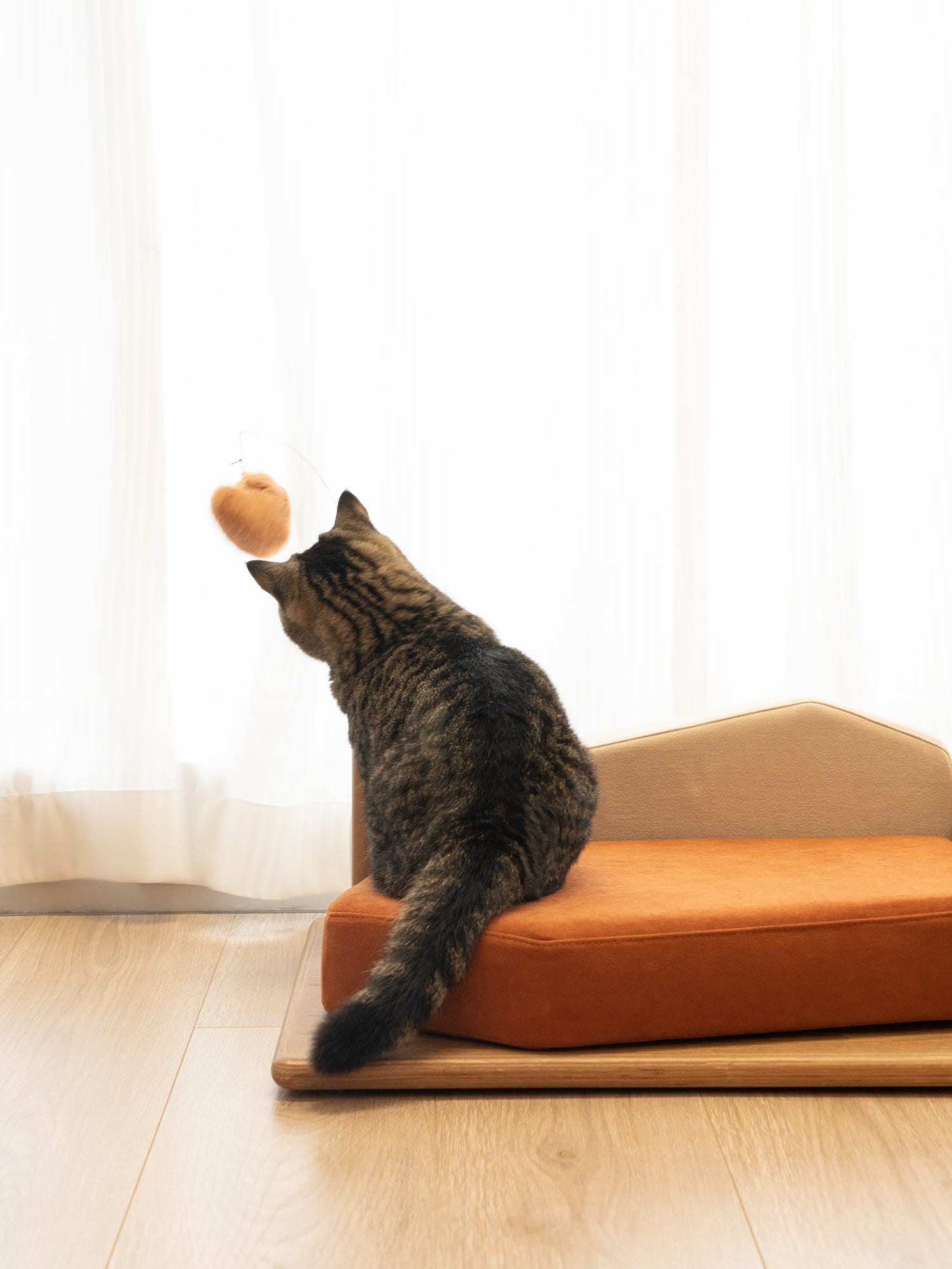 Pet sofa summit — Dual-Color photo 2