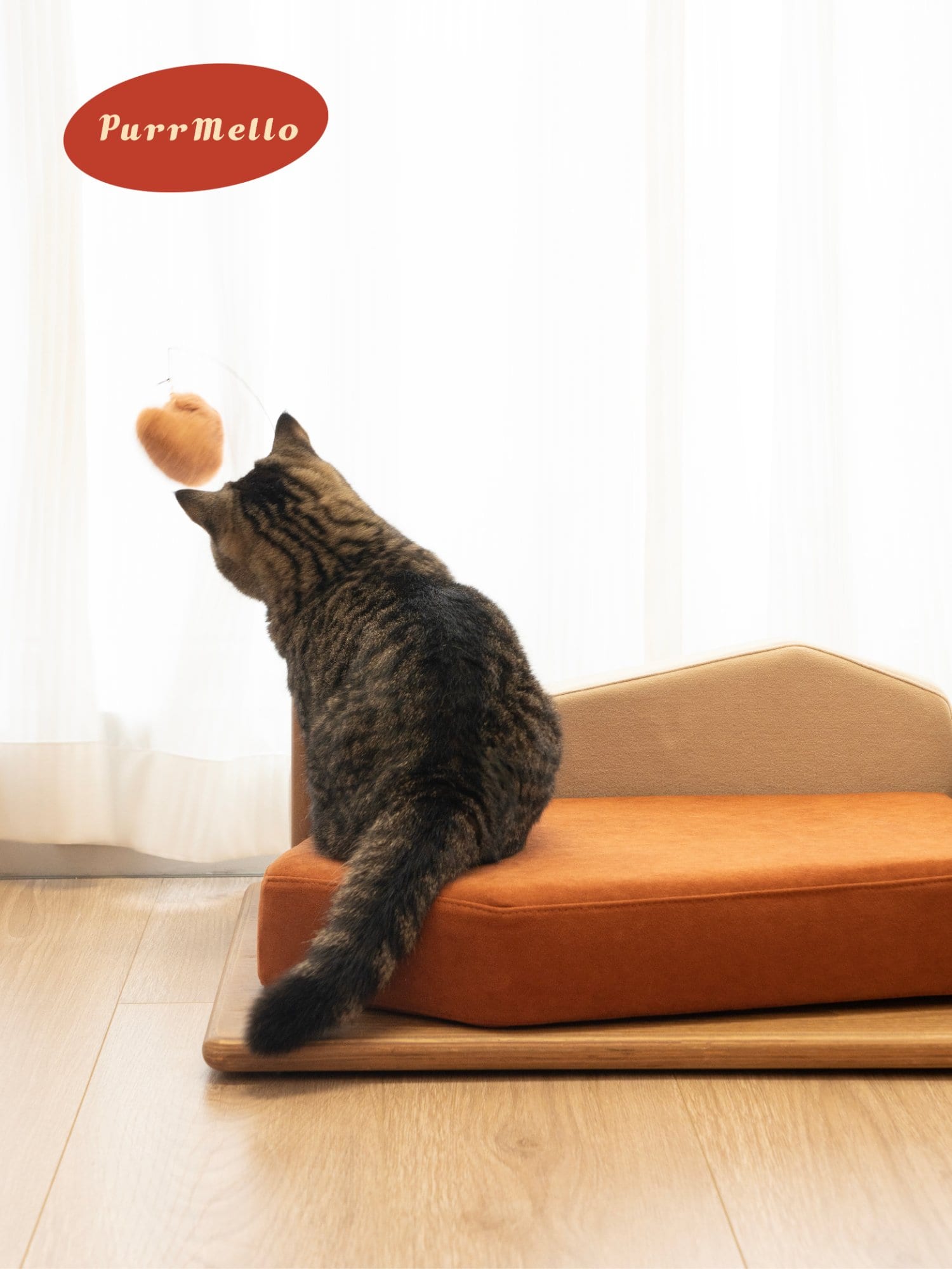 Pet sofa summit — Dual-Color photo 5