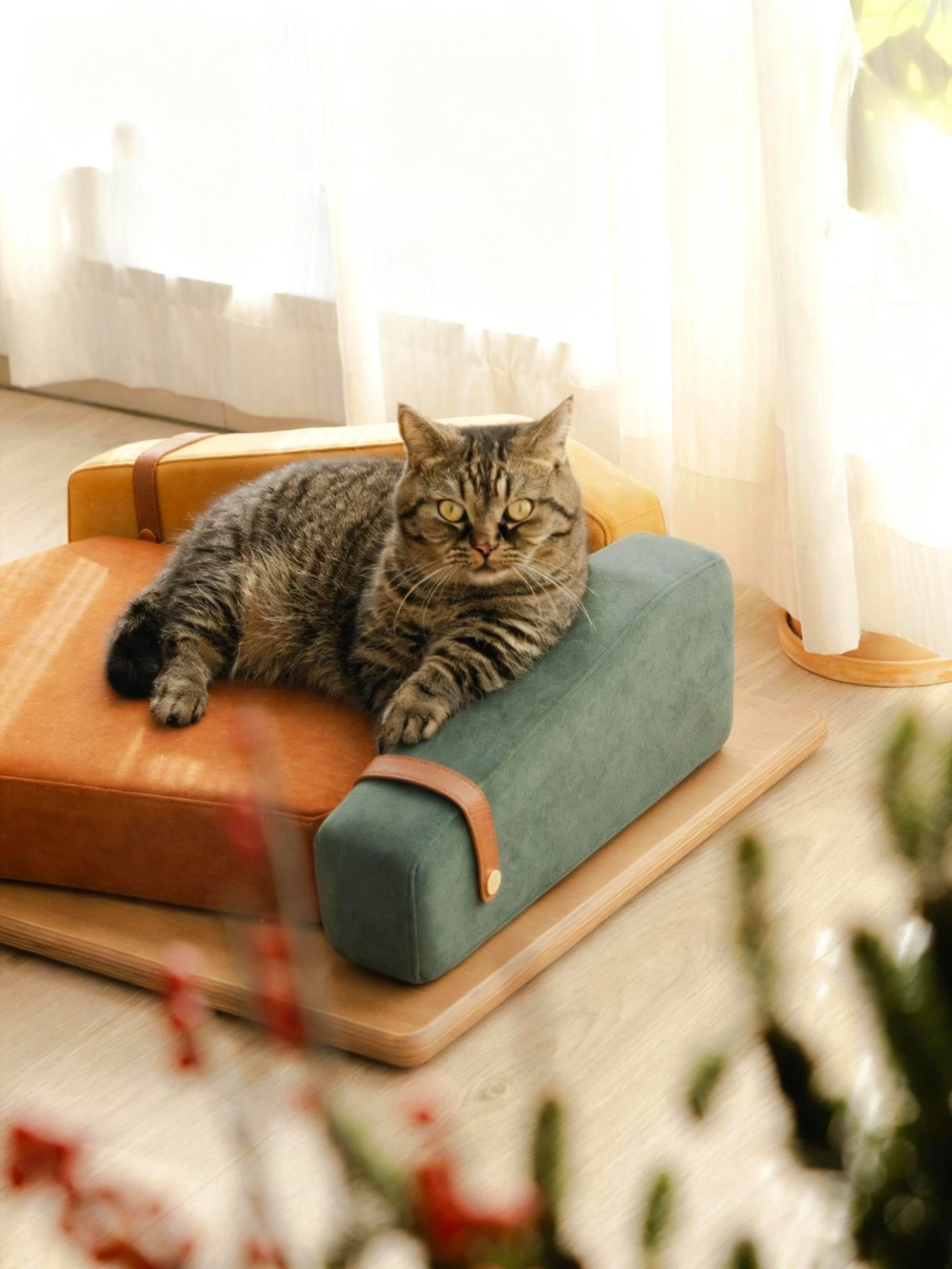 Pet sofa summit — Tri-color photo 5
