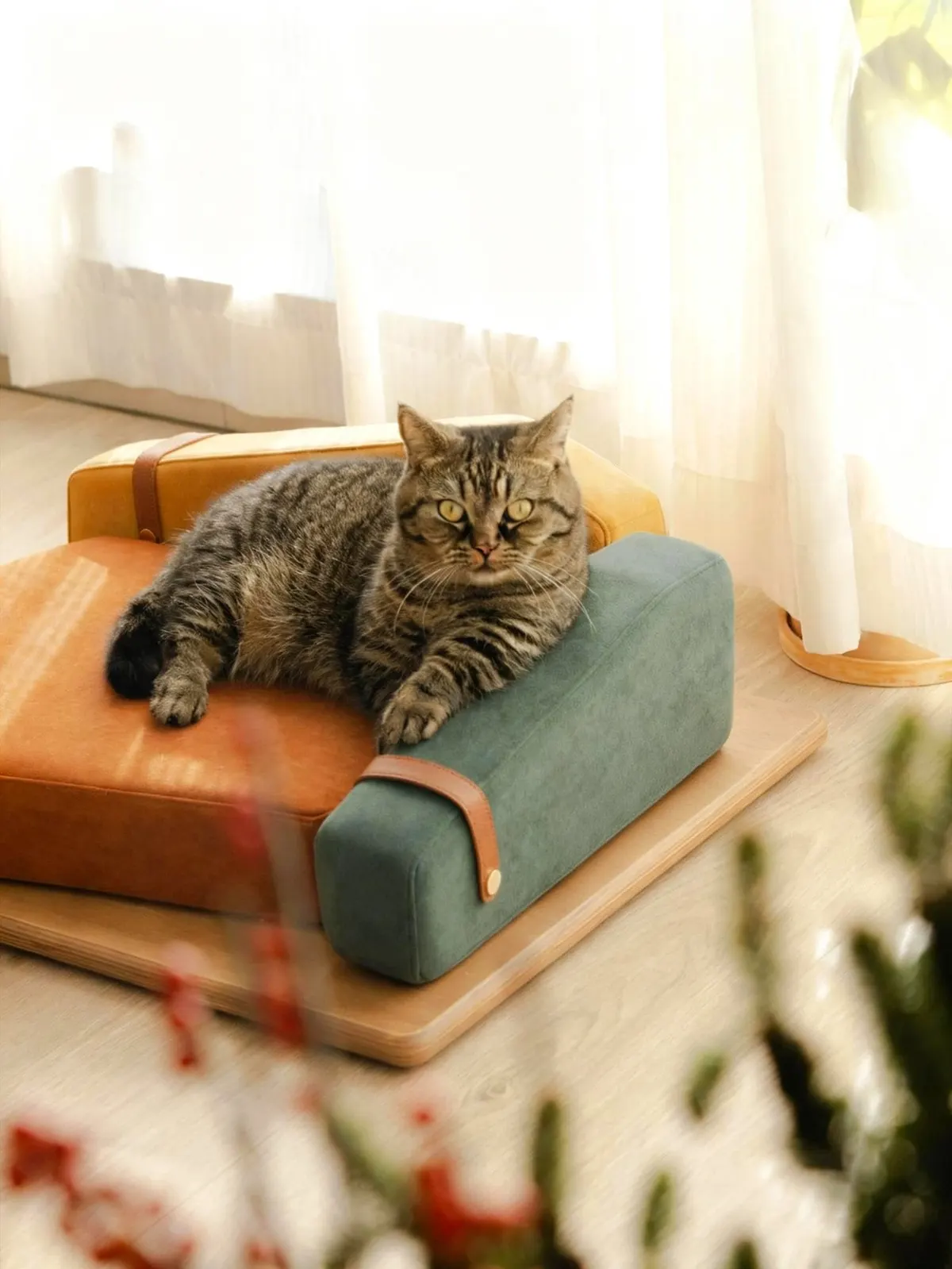 Pet sofa summit photo 5