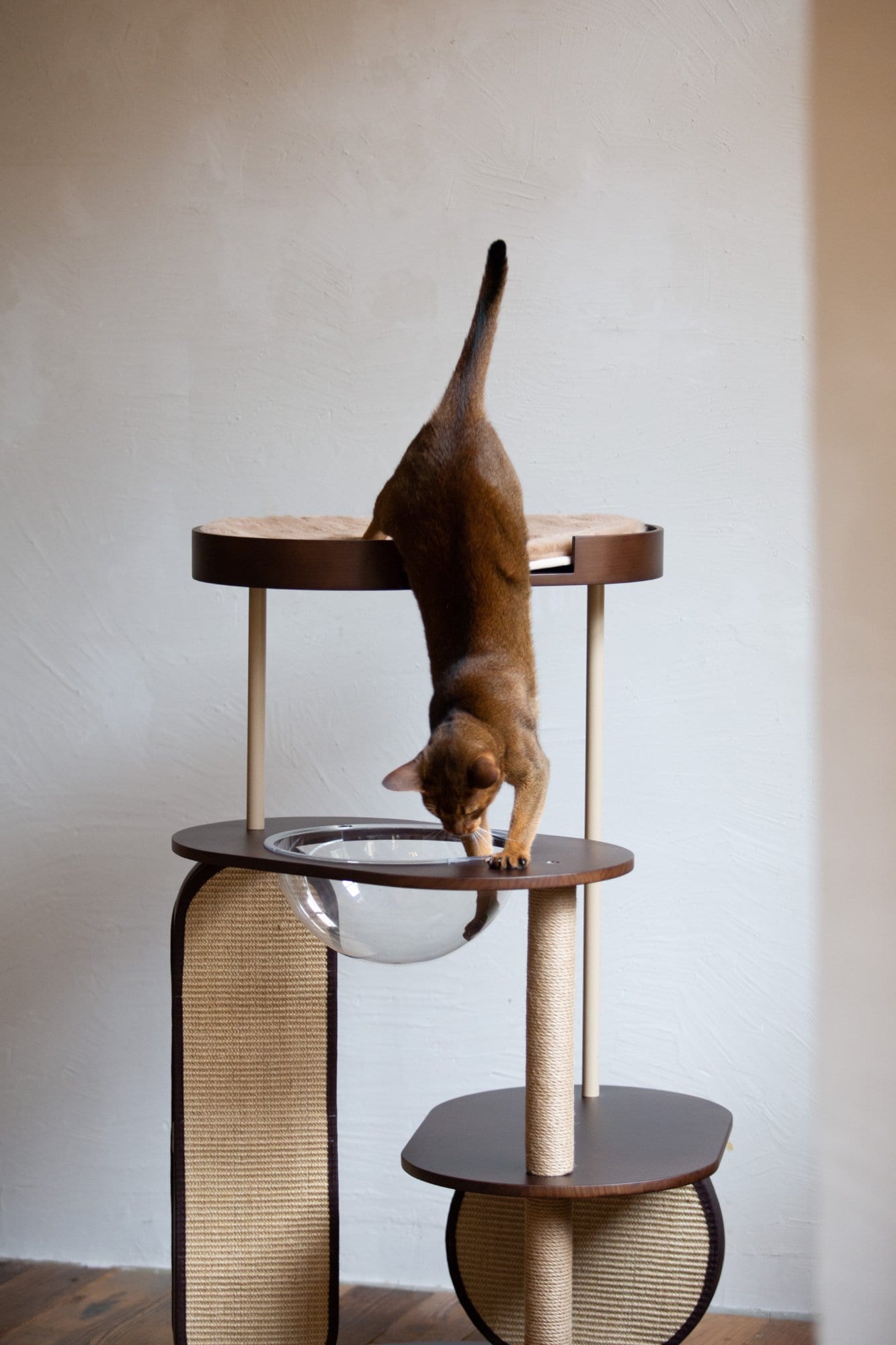Catime Cat Tree — Dark Brown photo 5