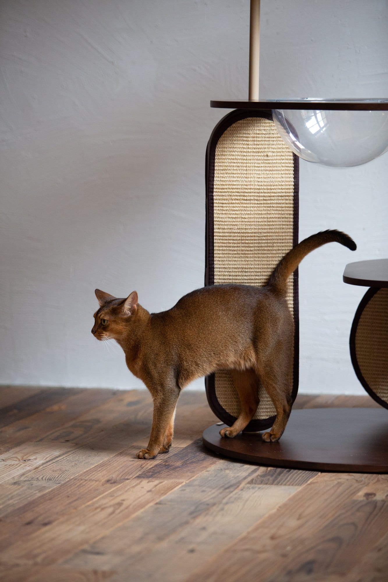 Catime Cat Tree — Dark Brown photo 6