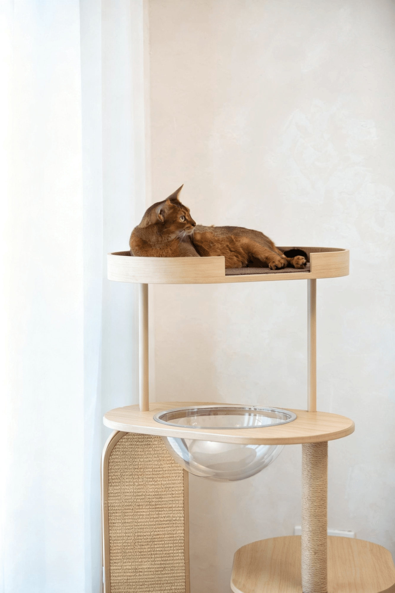 Catime Cat Tree — Burlywood photo 3