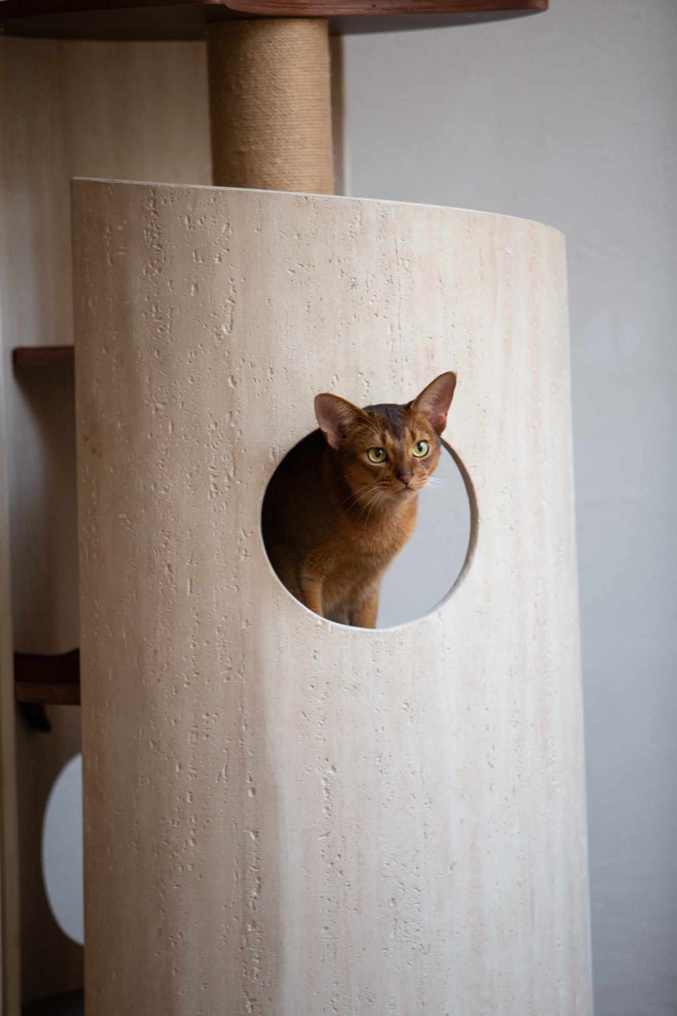 Hoppa Cat Tree photo 5