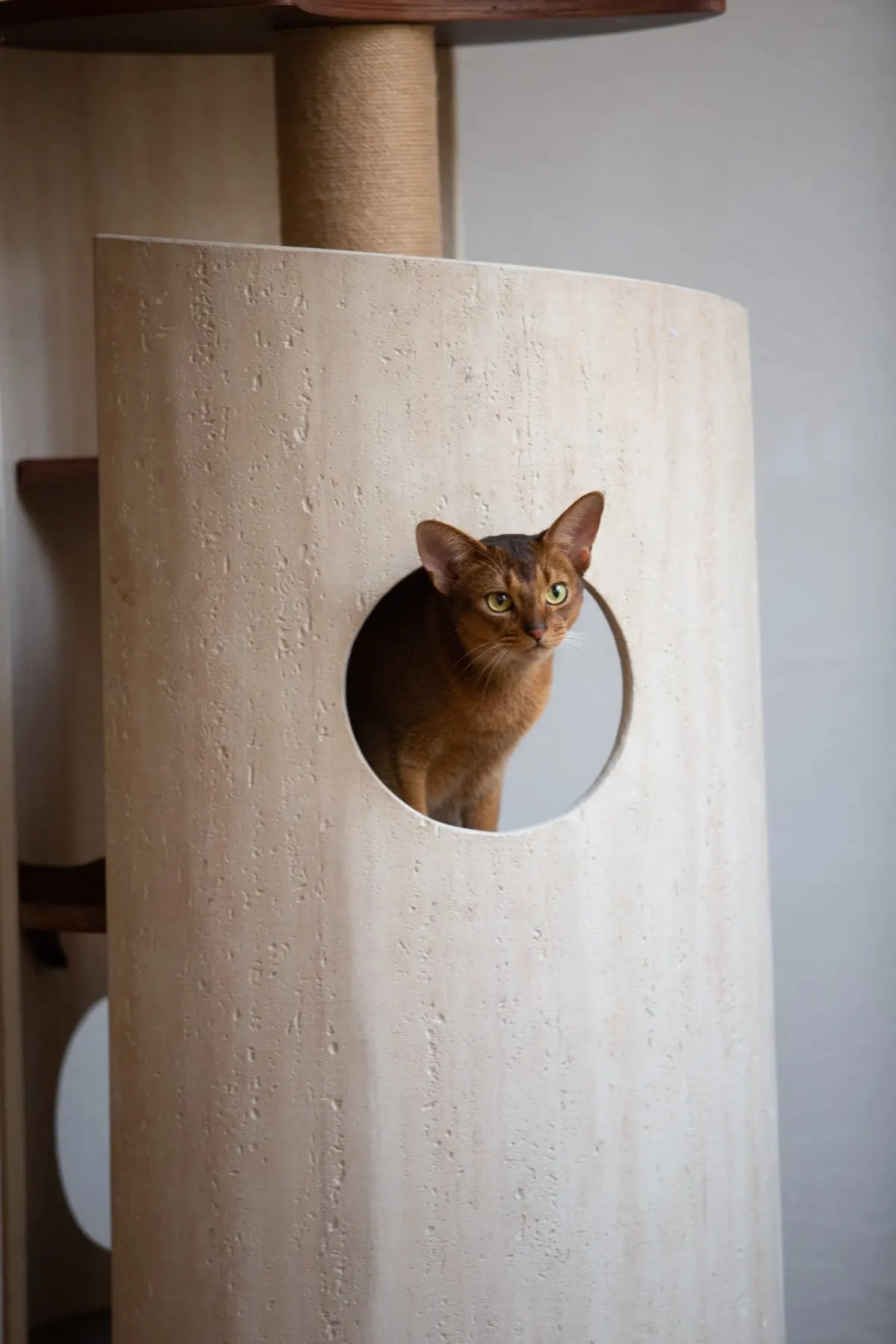 Hoppa Cat Tree photo 5