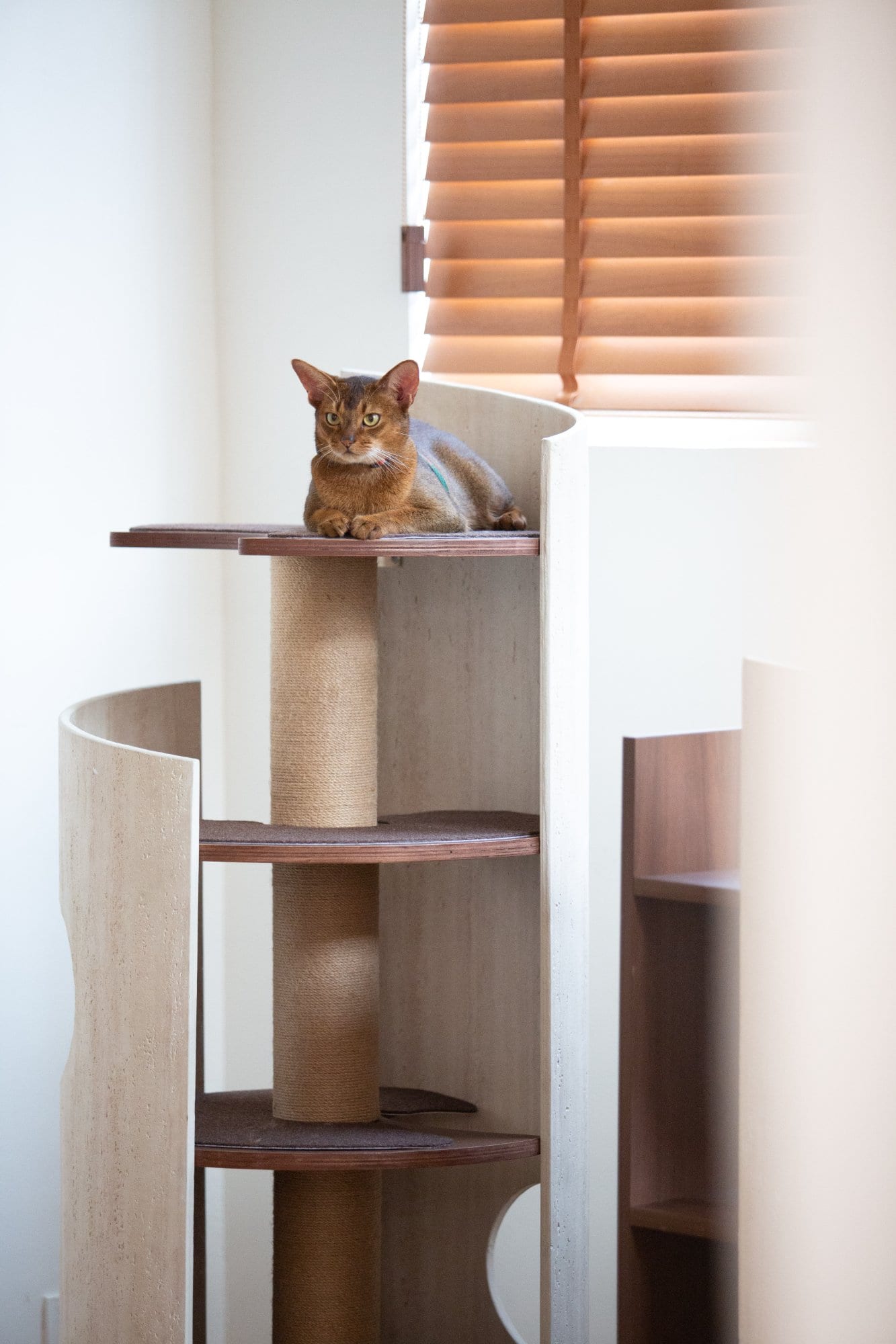 Hoppa Cat Tree photo 10