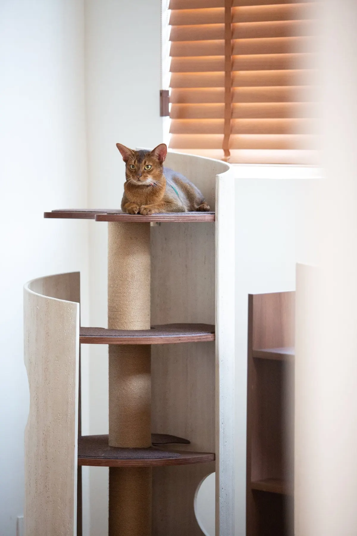 Hoppa Cat Tree photo 10