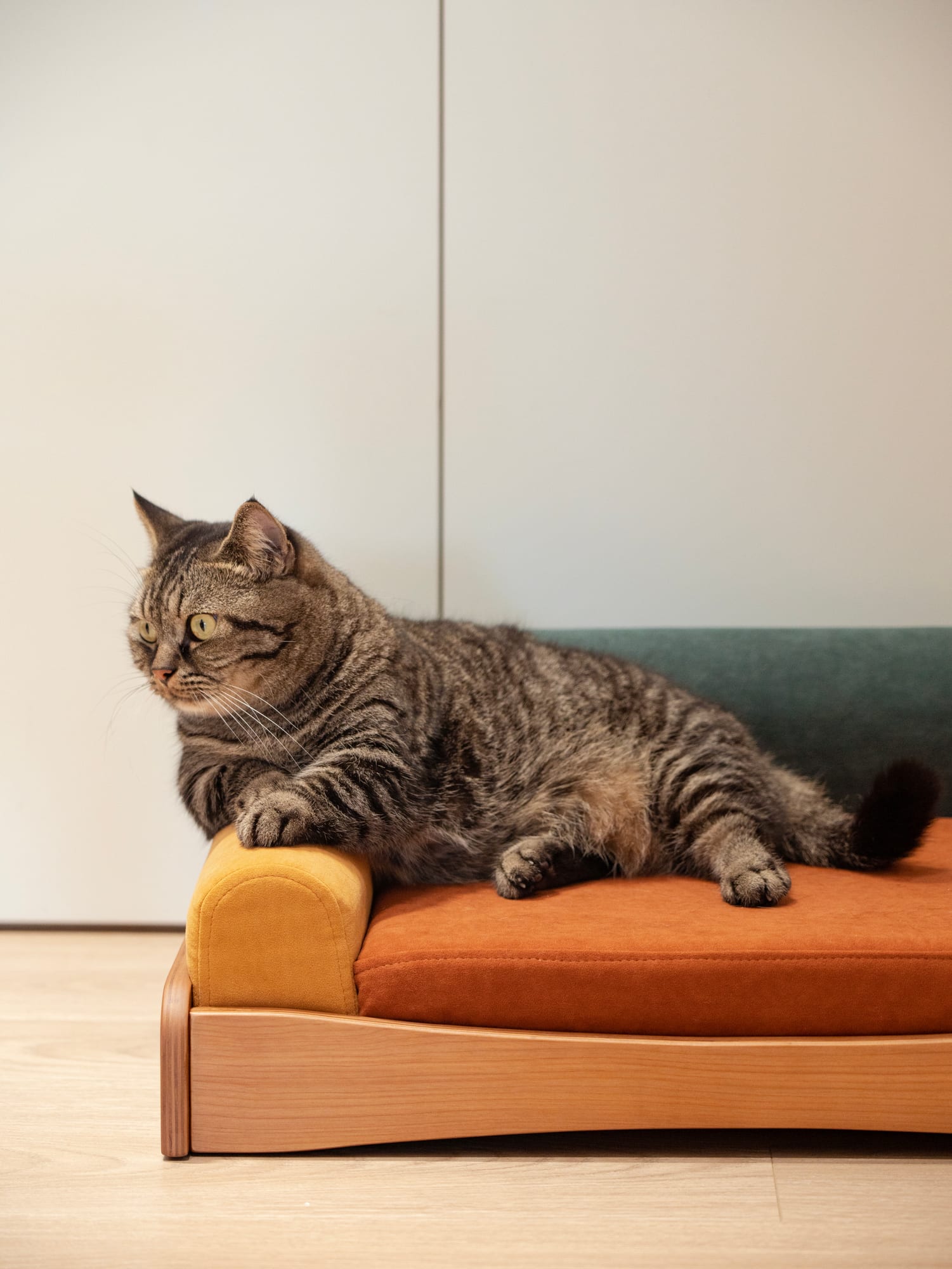Pet sofa — Tri-color photo 2