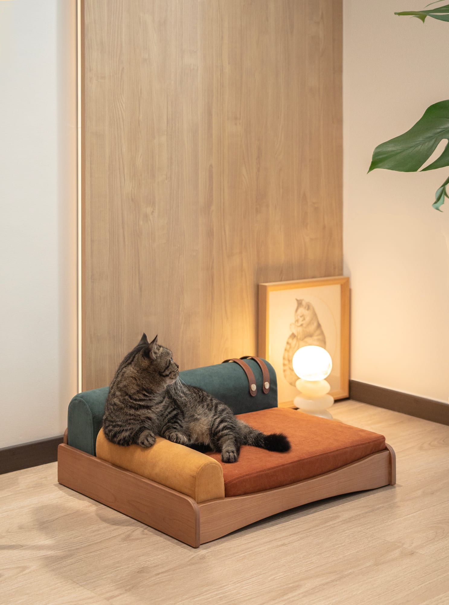 Pet sofa — Tri-color photo 3