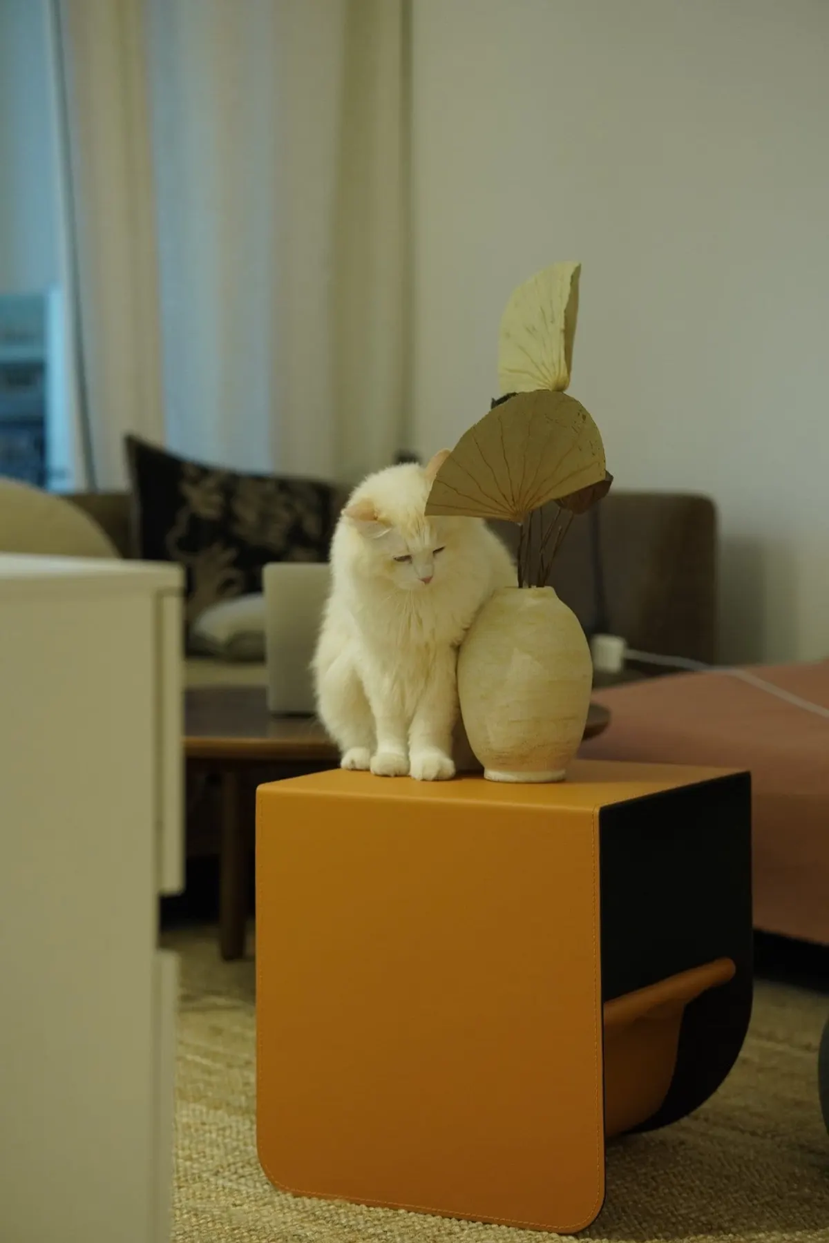 Peekaboo Tea Table With Leather photo 5
