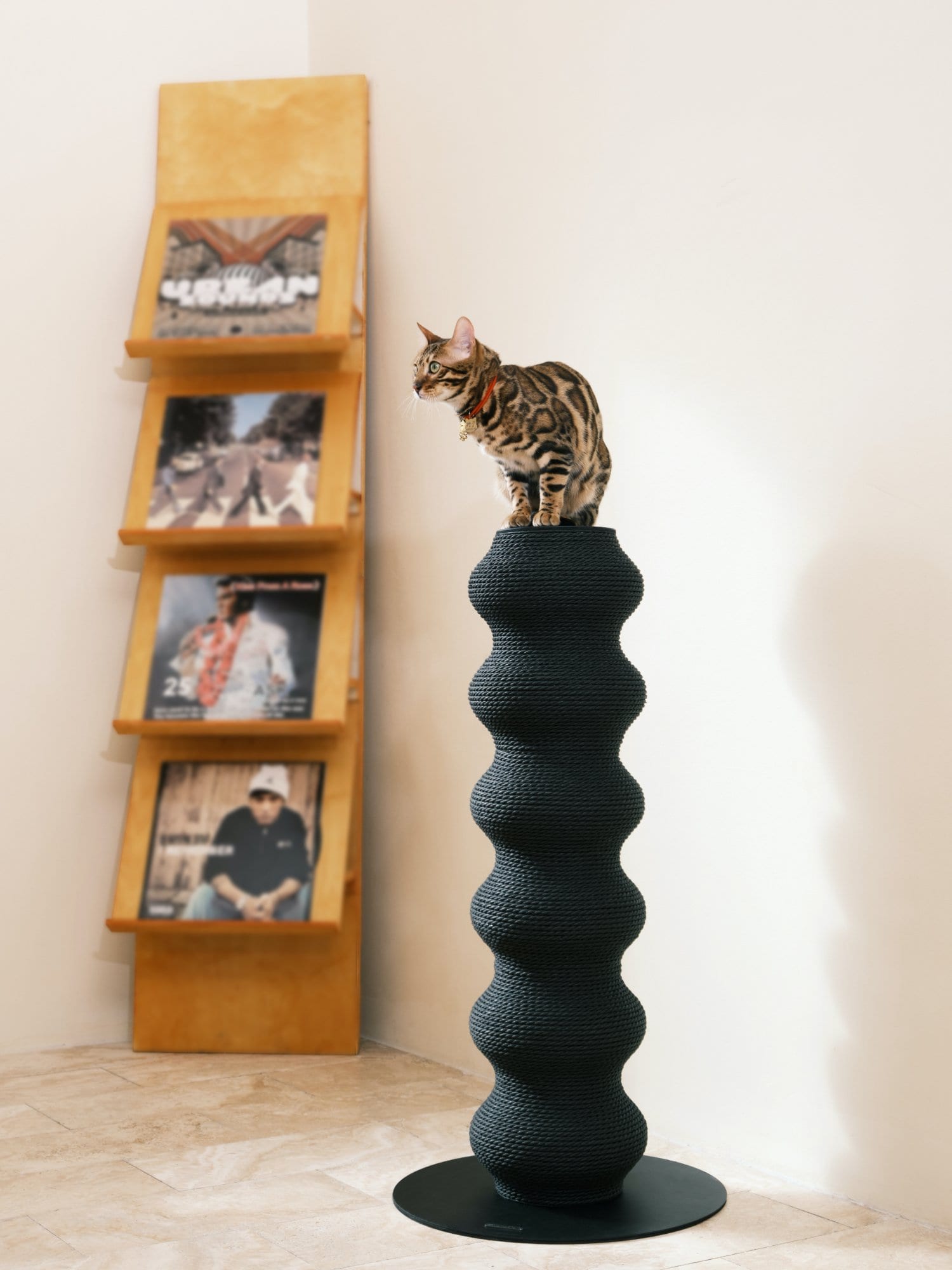 Coral Scratch Post — Black photo 1