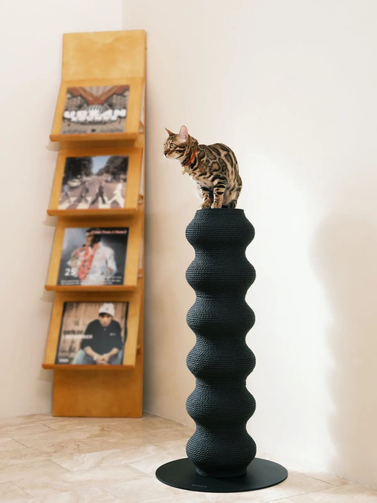 Coral Scratch Post