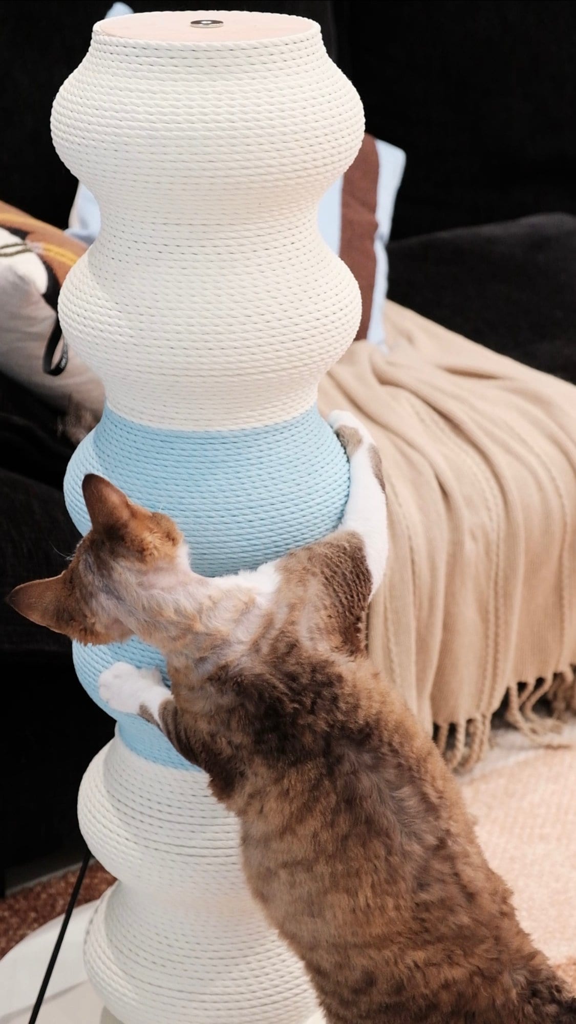 Coral Scratch Post — Blue & White photo 1