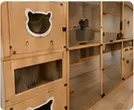 Boarding suites at Catacure