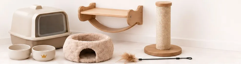 Cat essentials